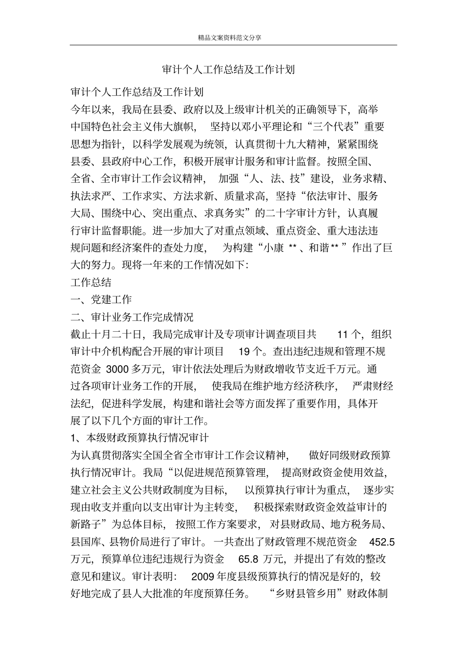 审计个人工作总结及工作计划-精品文案范文_第1页