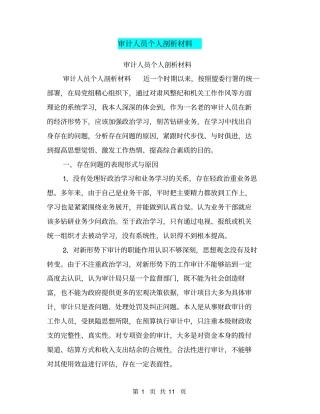 审计人员个人剖析材料【可编辑版】