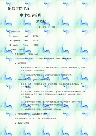 审计人员初步培训鼎信诺