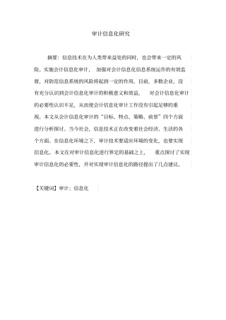 审计信息化研究汇总