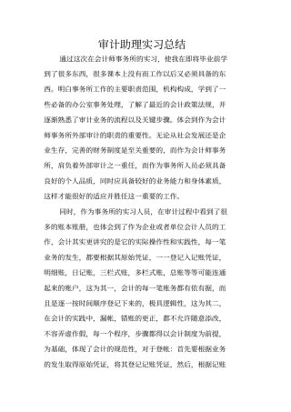 审计助理实习总结
