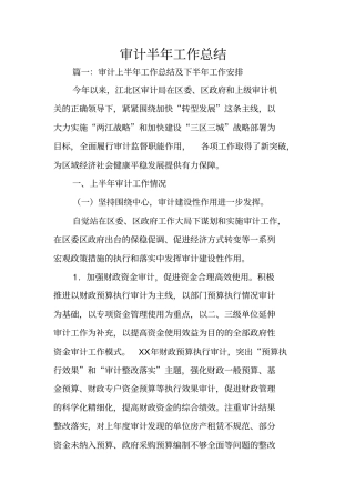 审计半年工作总结