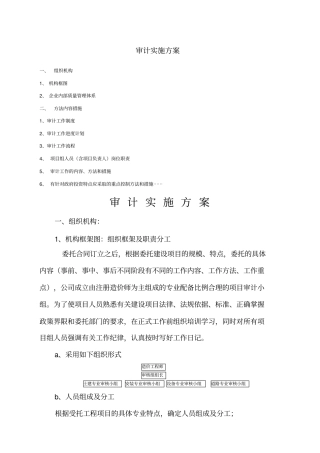 审计实施方案新编
