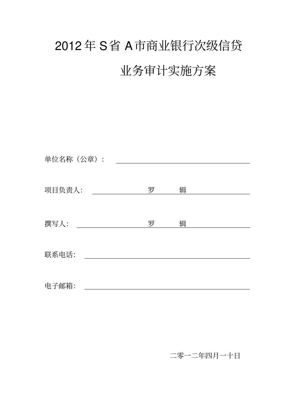 审计实施的方案模板_第1页