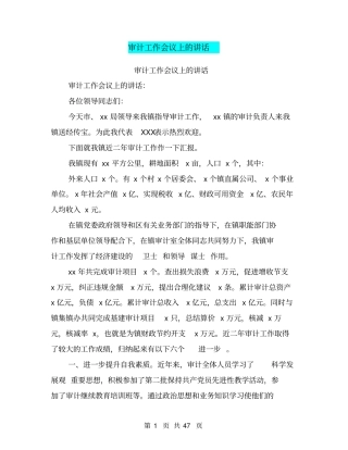 审计工作会议上的讲话