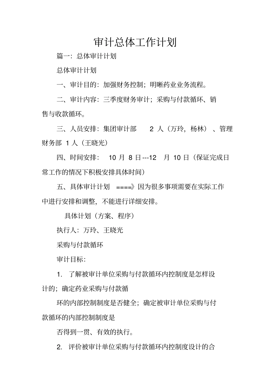 审计总体工作计划_第1页