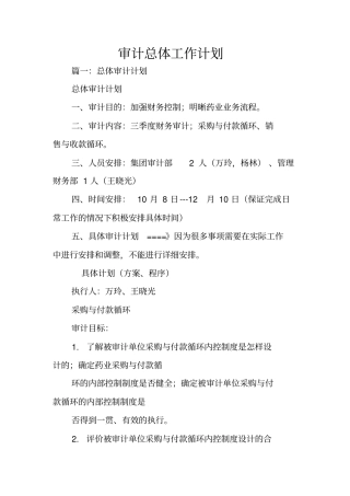 审计总体工作计划