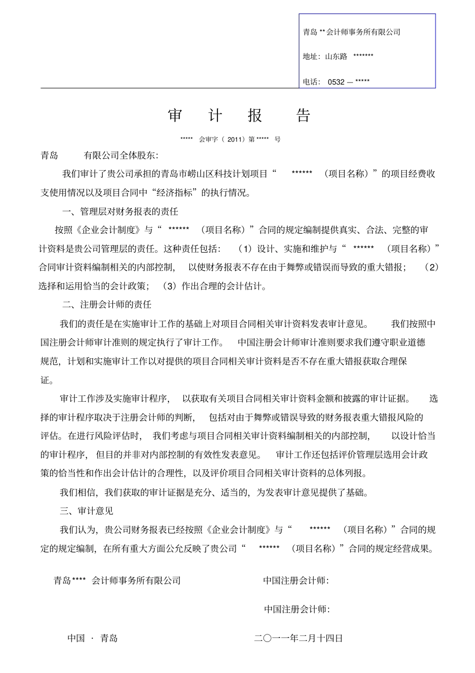 审计报告模板_第3页