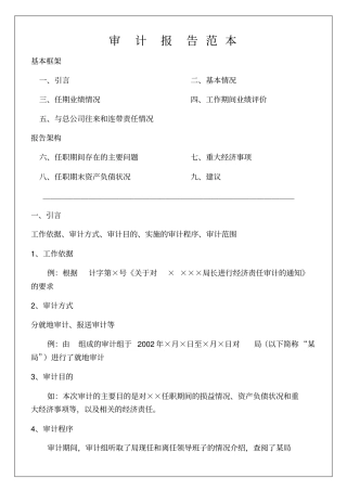 审计报告范本