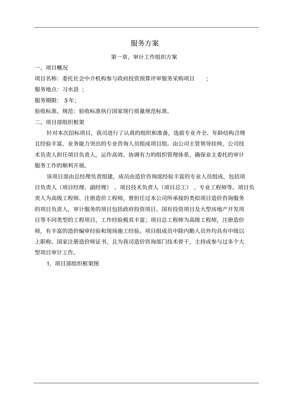 审计服务方案_第1页