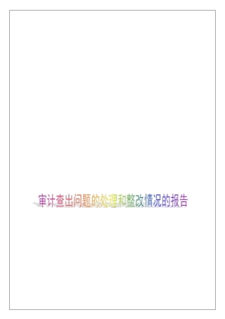 审计查出问题的处理和整改情况的报告