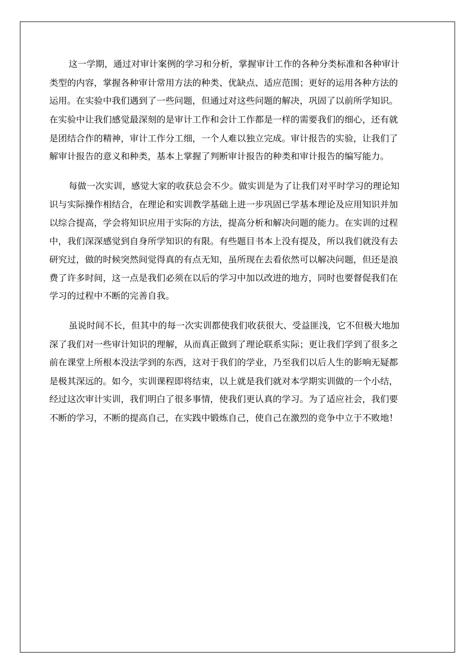 审计模拟实训实习报告_第3页