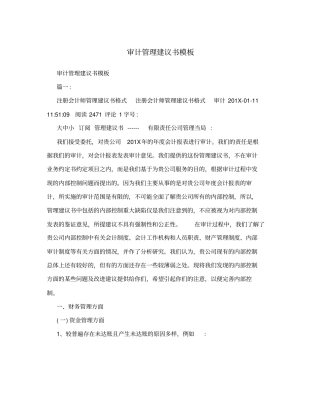 审计管理建议书模板