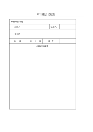 审计组会议纪要