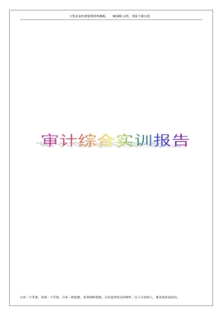 审计综合实训报告5p