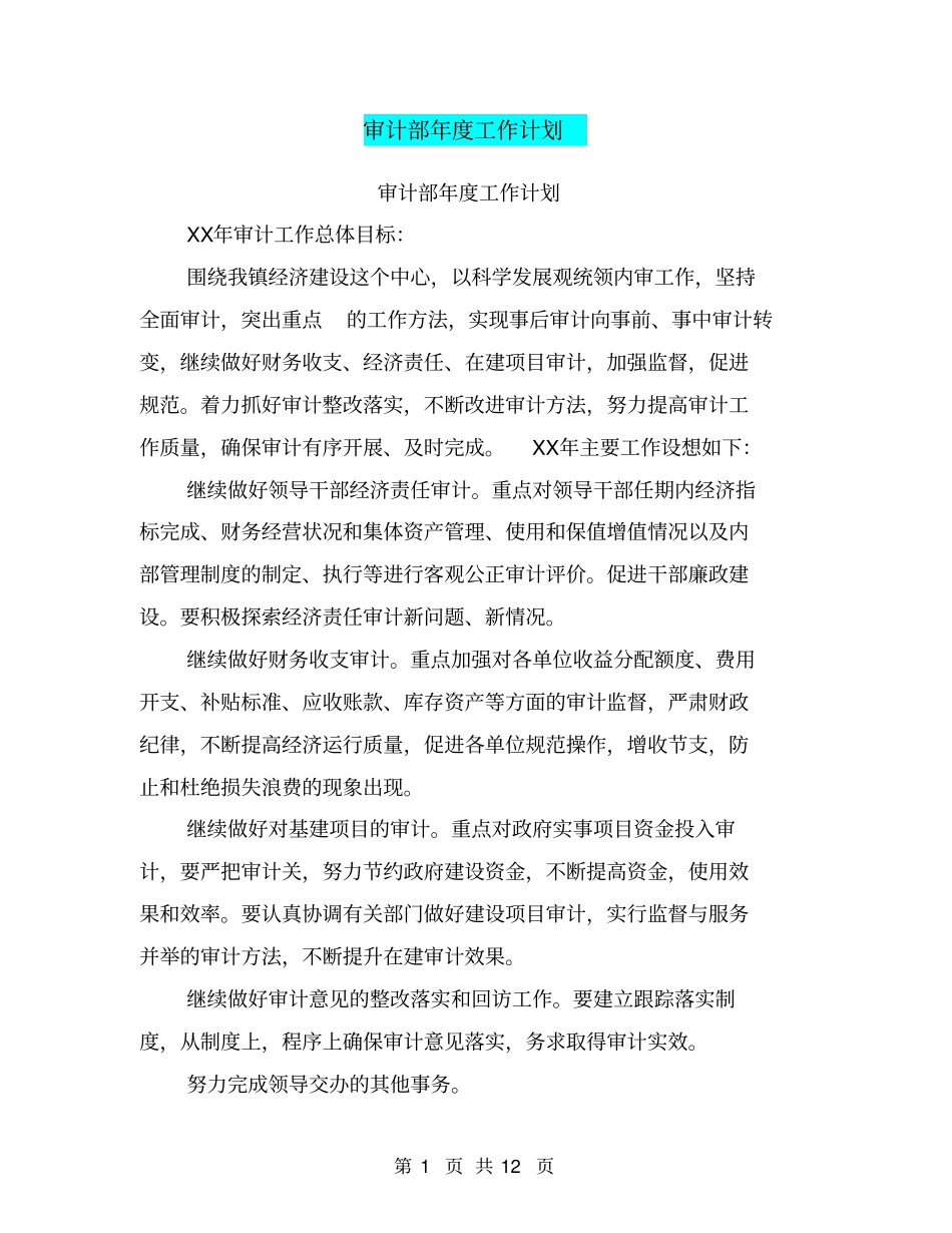 审计部年工作计划_第1页