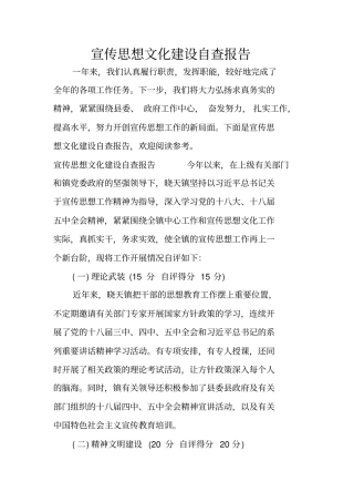宣传思想文化建设自查报告