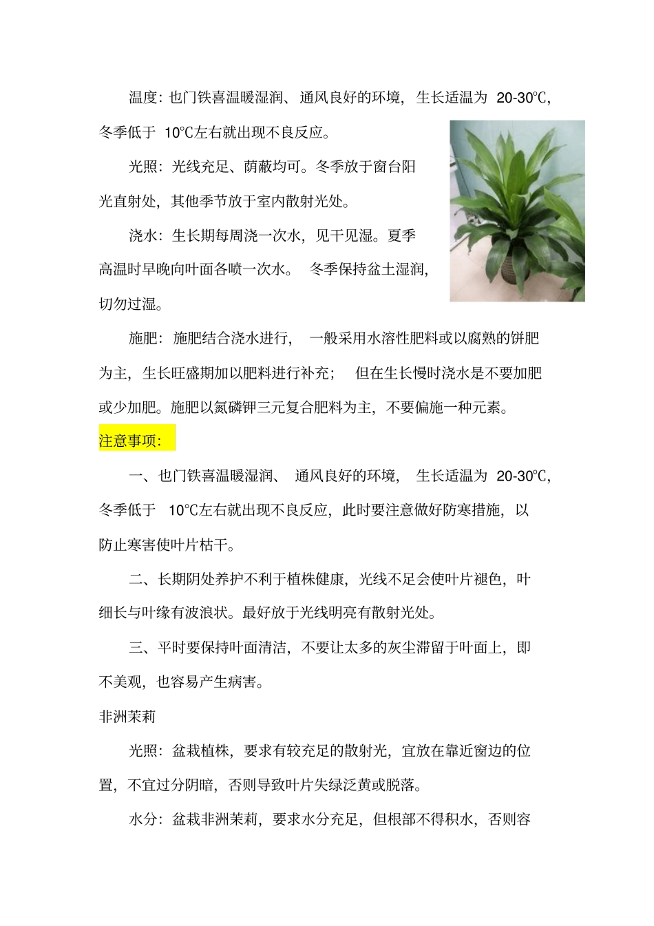 室内盆栽植物的养护分析_第3页