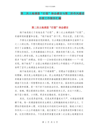 第二次土地调查“打假”体会感言与第二阶作风建设自查工作报告汇编