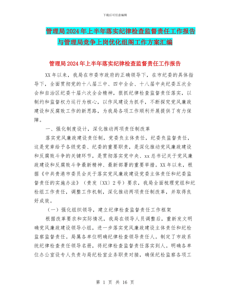 管理局2024年上半年落实纪律检查监督责任工作报告与管理局竞争上岗优化组阁工作方案汇编_第1页