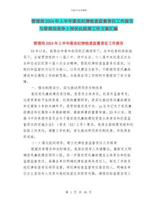 管理局2024年上半年落实纪律检查监督责任工作报告与管理局竞争上岗优化组阁工作方案汇编