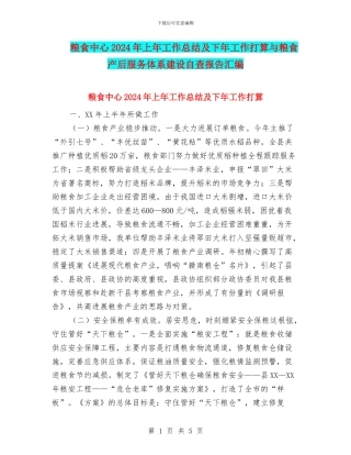 粮食中心2024年上年工作总结及下年工作打算与粮食产后服务体系建设自查报告汇编