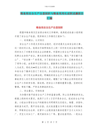 粮食局安全生产自查剖析与粮食局局长述职述廉报告汇编