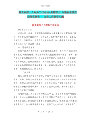 粮食系统个人财务工作总结与粮食系统安全落实报告