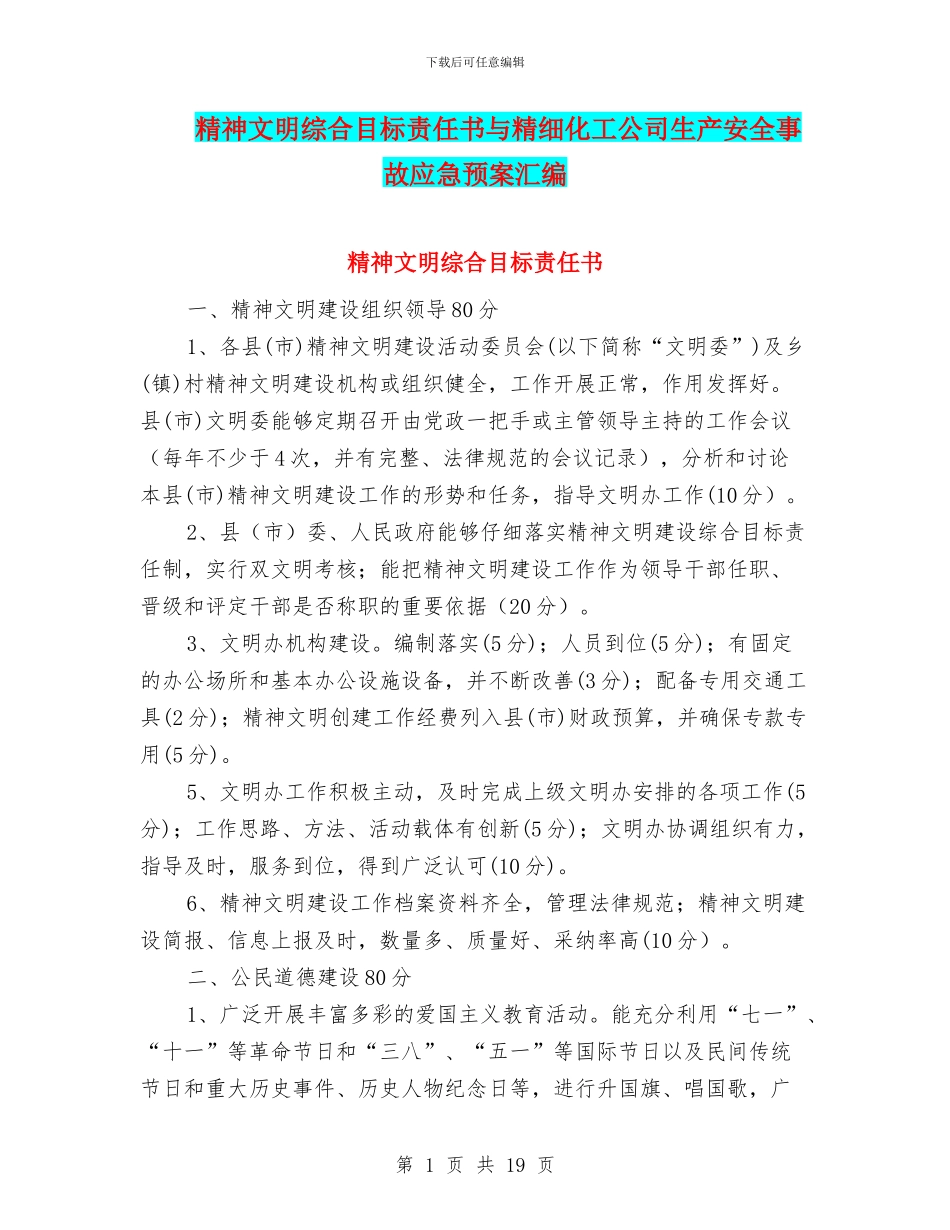 精神文明综合目标责任书与精细化工公司生产安全事故应急预案汇编_第1页