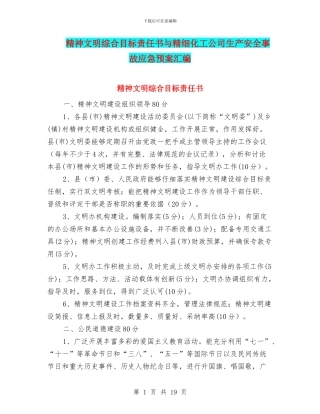 精神文明综合目标责任书与精细化工公司生产安全事故应急预案汇编