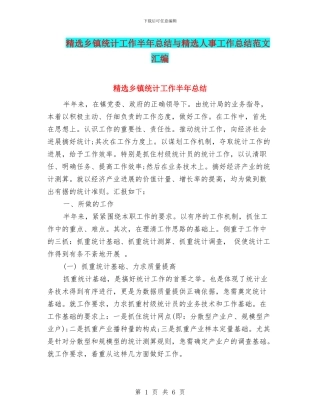 精选乡镇统计工作半年总结与精选人事工作总结范文汇编