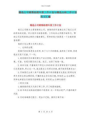 精选公司销售助理年度工作计划与精选出纳工作计划范文汇编