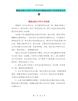 精选出纳上半年工作总结与精选出纳工作总结范文汇编
