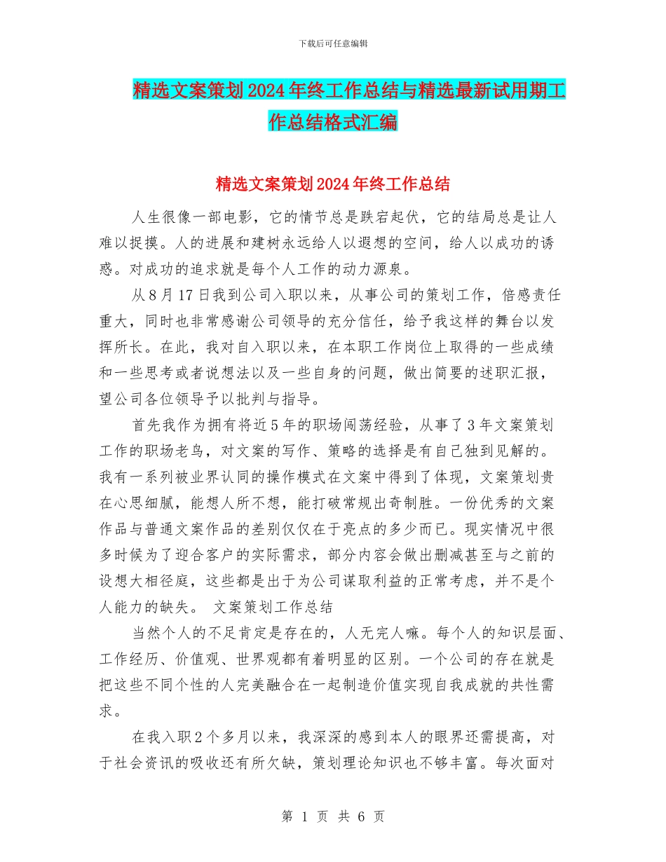 精选文案策划2024年终工作总结与精选最新试用期工作总结格式汇编_第1页