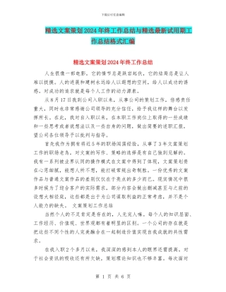 精选文案策划2024年终工作总结与精选最新试用期工作总结格式汇编
