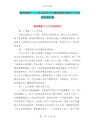 精选销售个人工作总结范文与精选镇政府秘书工作总结范例汇编