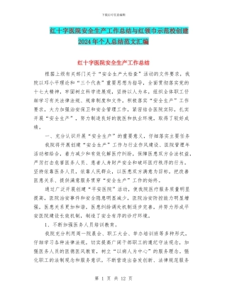 红十字医院安全生产工作总结与红领巾示范校创建2024年个人总结范文汇编