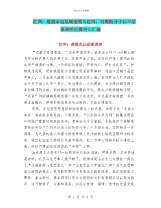 红网：发展永远是硬道理与红网：对腐败分子决不姑息表明反腐决心汇编