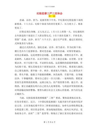 纪检监察三严三实体会