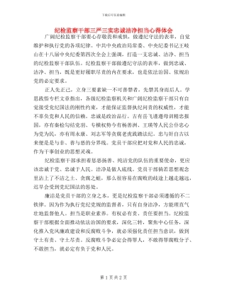 纪检监察干部三严三实忠诚干净担当心得体会