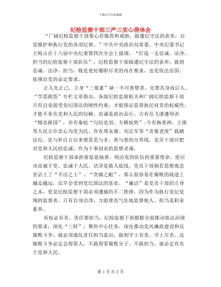 纪检监察干部三严三实心得体会