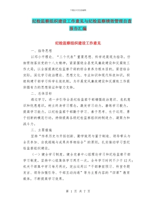 纪检监察组织建设工作意见与纪检监察绩效管理自查报告汇编