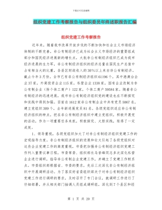 组织党建工作考察报告与组织委员年终述职报告汇编