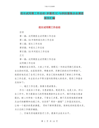 组长试用期工作总结与织纺服装企业调查报告汇编