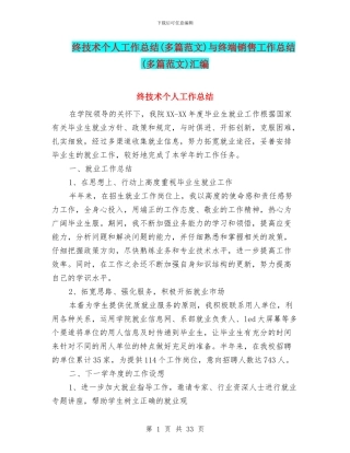 终技术个人工作总结与终端销售工作总结(多篇范文)汇编