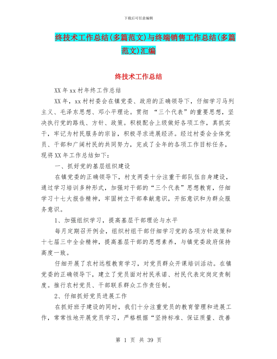 终技术工作总结与终端销售工作总结(多篇范文)汇编_第1页