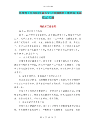 终技术工作总结与终端销售工作总结(多篇范文)汇编