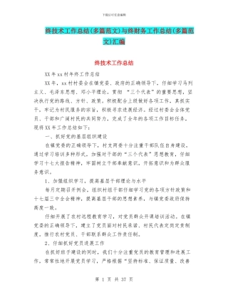 终技术工作总结与终财务工作总结(多篇范文)汇编