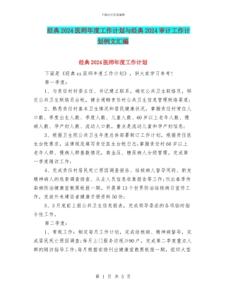 经典2024医师年度工作计划与经典2024审计工作计划例文汇编