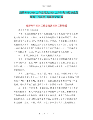 经济专干2024工作总结及2024工作计划与经济业务技术工作总结汇编